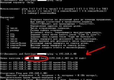 Проверить пинг в Системе Windows