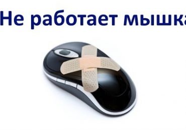 Мышь не работает — Что делать