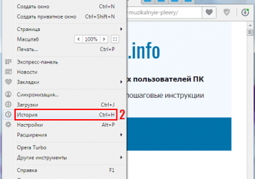Как очистить историю в Опере: 4 способа