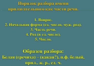 Разбор прилагательного как части речи