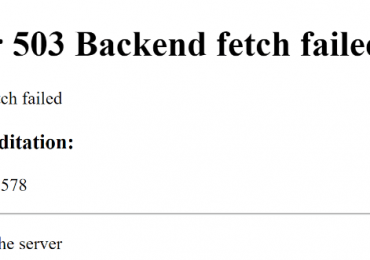 Ошибка Error 503 Backend fetch failed что делать